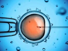 ivf centres in lagos: cost of ivf in lagos IVF centres in Lagos