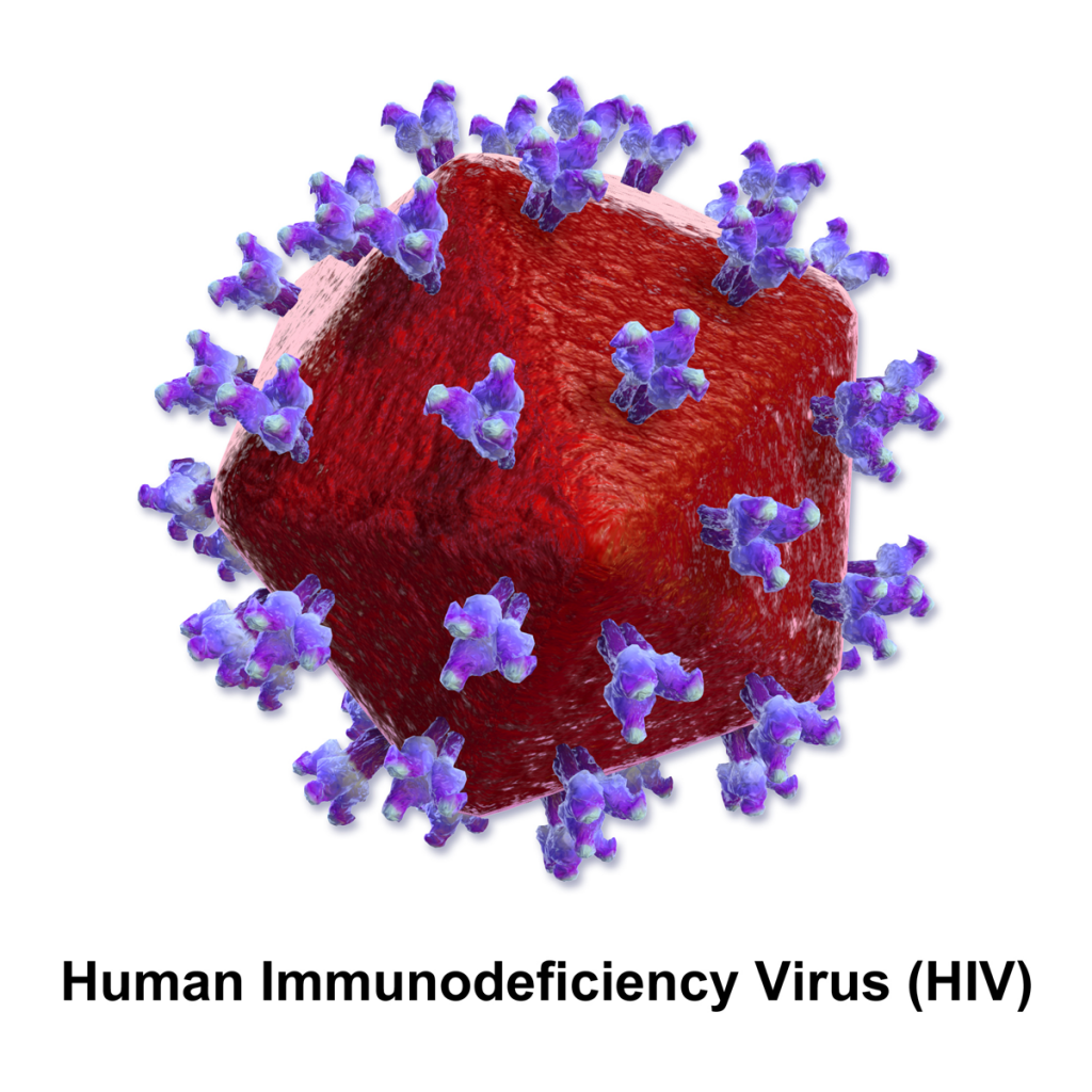HIV cure
