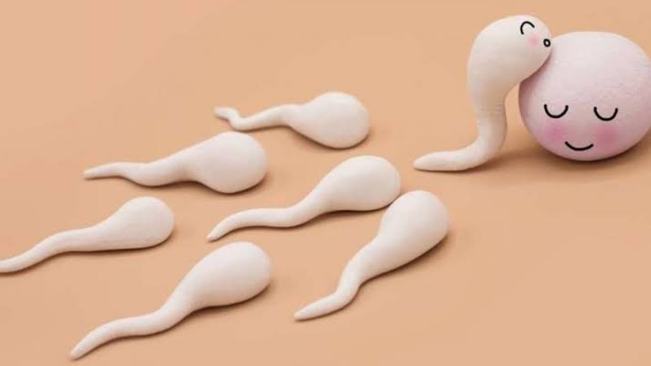 Flush Sperm Cum