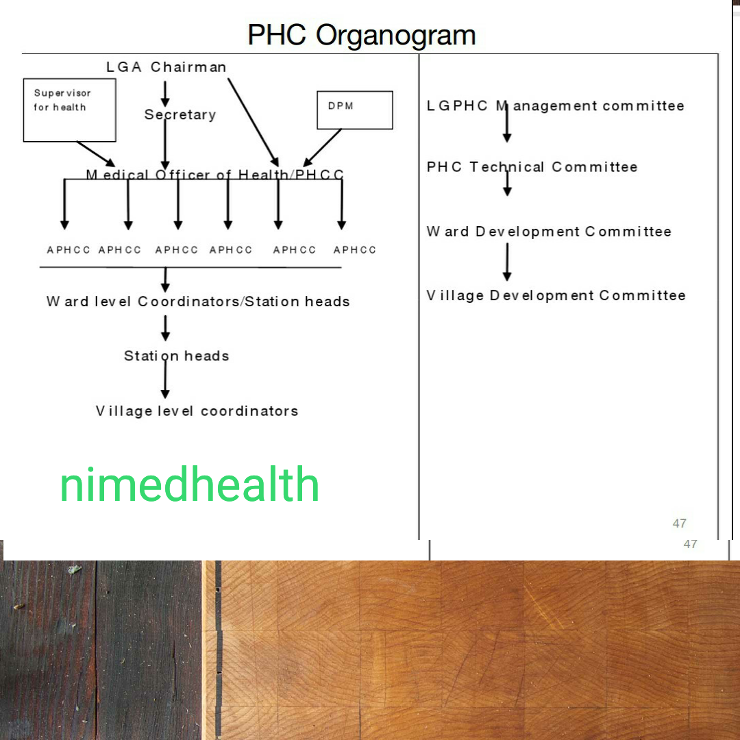 the-a-z-of-primary-health-care-phc-in-nigeria-nigerian-health-blog