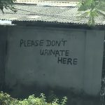 Urine, breast milk or onion slices will not cure Apollo 