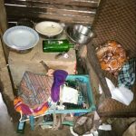 Screenshot 20190712 143659 1 150x150