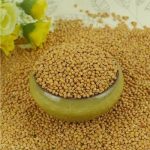 Millet grains