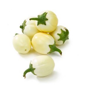 All you need to know about African eggplant (Garden egg) - Nigerian ...