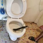 EN5oj99XsAAwhgB 150x150