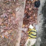 ESS EUeXkAIeAgy 150x150