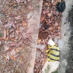 ESS HoxWkAAQcbE 150x150