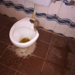 ESSyUwDWsAcdYP 150x150