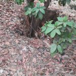 ESSyp1bWkA8juw 150x150