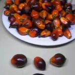 Delta state Banga soup 