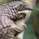 EVf1lyWWoAA6iiL 150x150