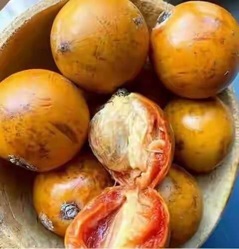 Side Effects And Health Benefits Of Agbalumo Udara African Star Apple Nigerian Health Blog