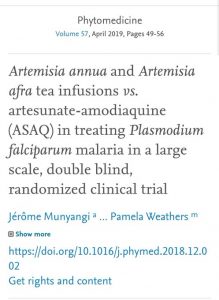 COVID ORGANICS: Dr. Jerome Muyangi and the COVID-19 herbal cure from Madagascar 