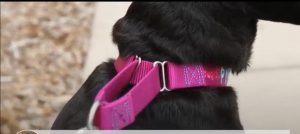 EZ2uepGXYAAGAKW 300x134