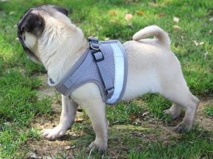 EZ2uf CXYAAhQUo 300x224