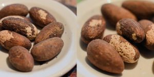 Effect of bitter kola and pregnancy