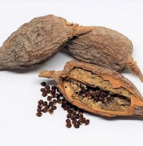 10 herbs that causes loss of pregnancy