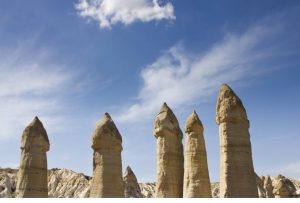 Facts about the penis