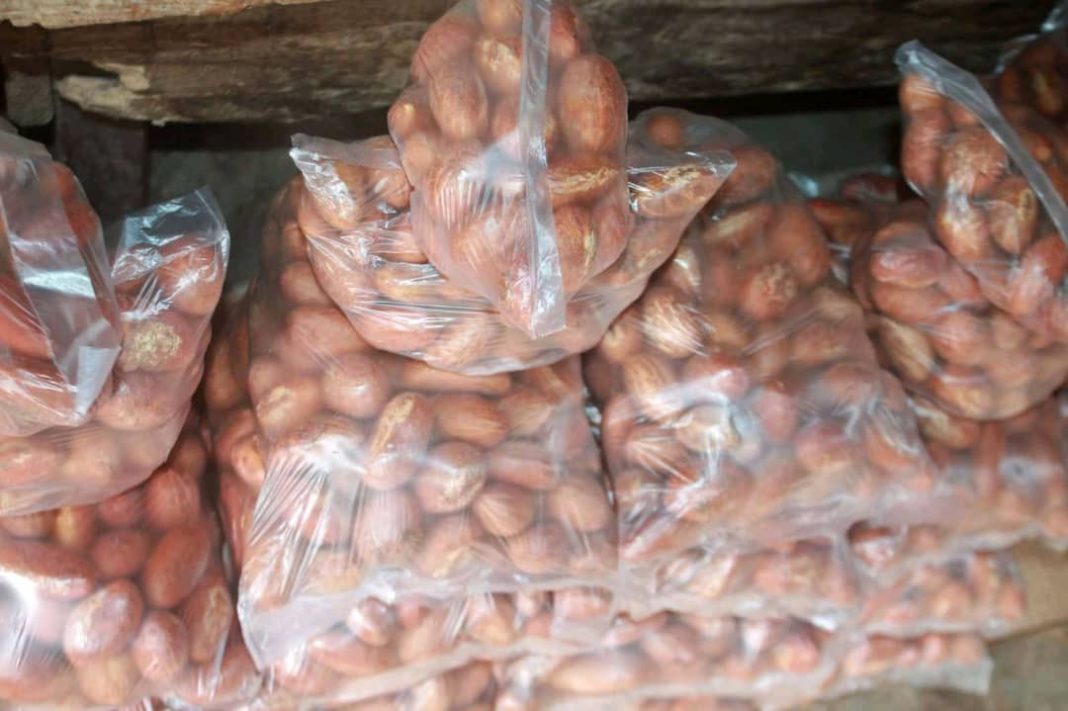 How to use bitter kola to last longer in bed How to use bitter kola to last longer in bed