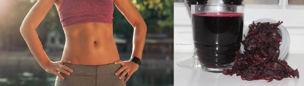 Does Zobo drink burn belly fat & good for weight loss? Does Zobo drink burn belly fat & good for weight loss?