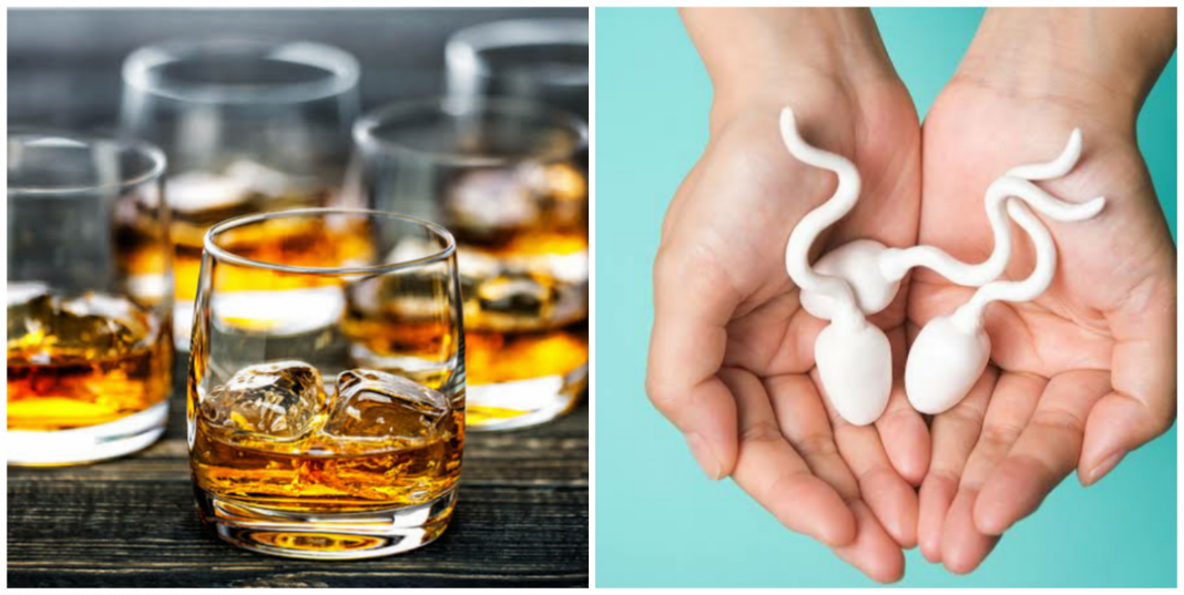 Can whisky flush out sperm?