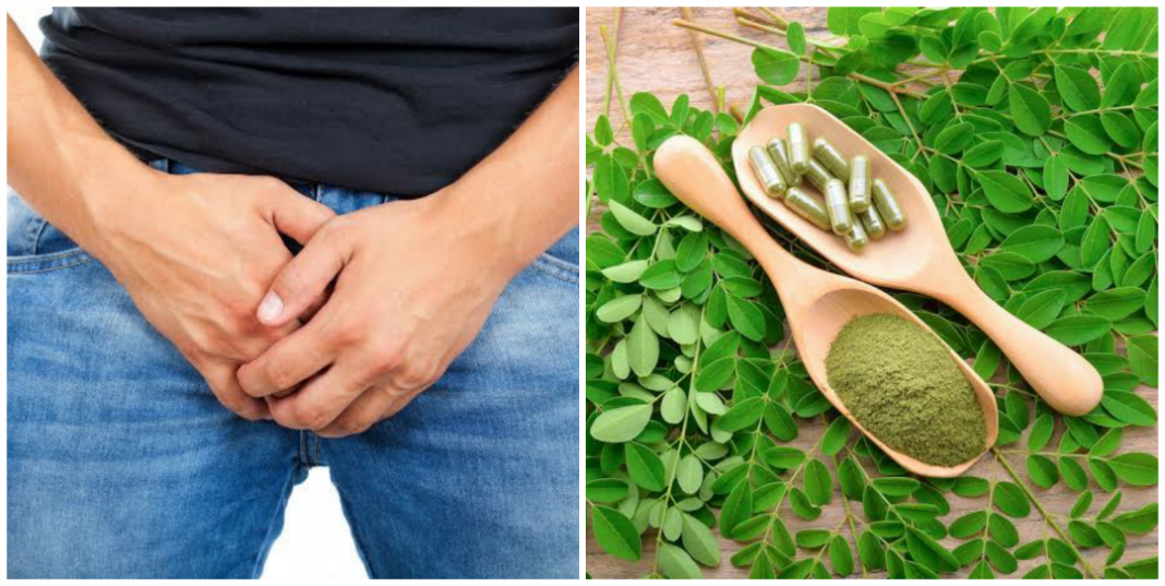 can-moringa-seed-cure-gonorrhea-nigerian-health-blog