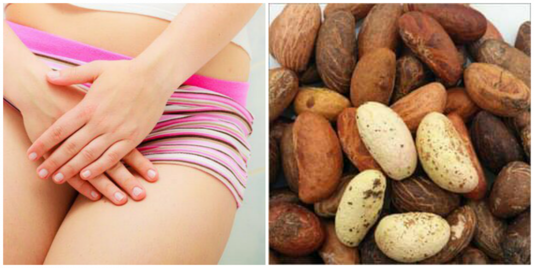 Can bitter kola cure yeast infection?