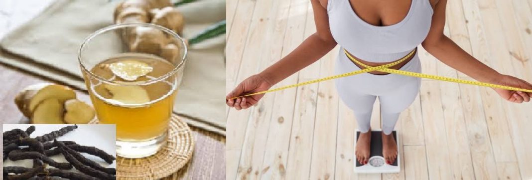 Uda seed and ginger for weight loss and Flat Tummy Uda seed and ginger for weight loss and Flat Tummy