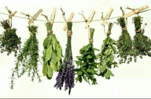 Nigerian herbs that boost testosterone