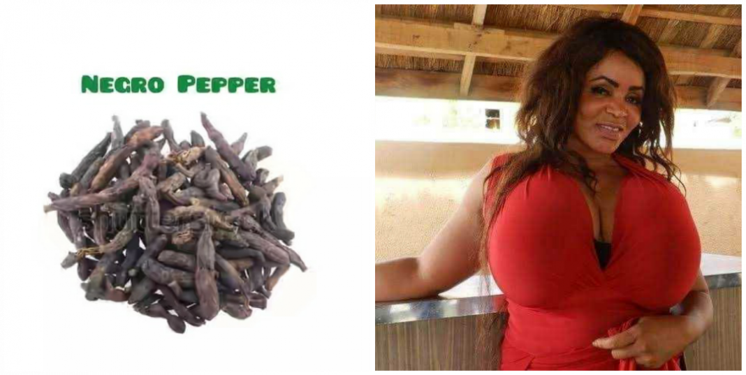 Can Uda seed be used for breasts enlargement? How to use uda seed for breast enlargement