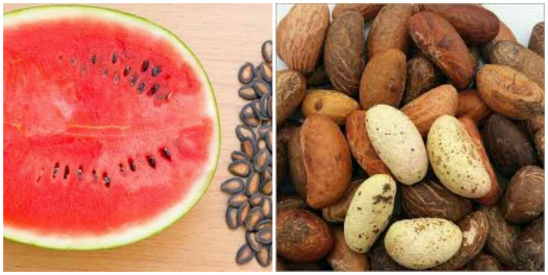 What is the work of bitter kola and watermelon seed? What is the work of bitter kola and watermelon seed?