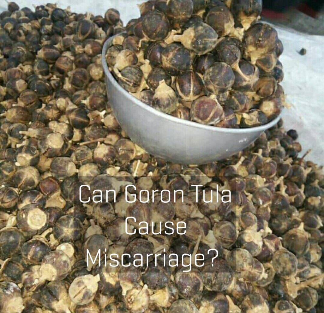 Goron tula and pregnancy (miscarriage) Goron Tula and pregnancy: Can goron Tula cause miscarriage?