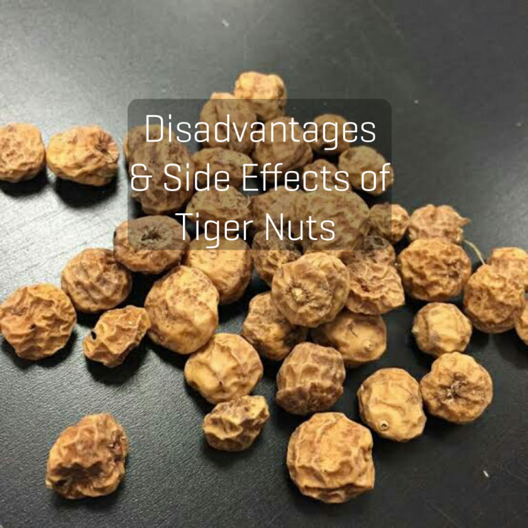 Disadvantages and Side Effects of tiger nuts Nigerian Health Blog