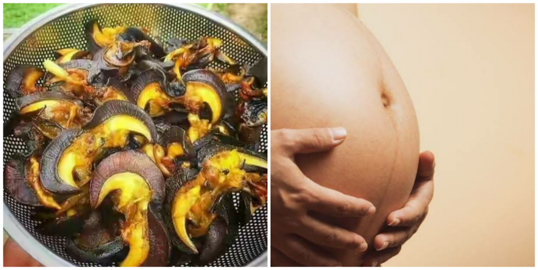 Health benefits of snail to a pregnant woman Is it good to eat snail when pregnant?