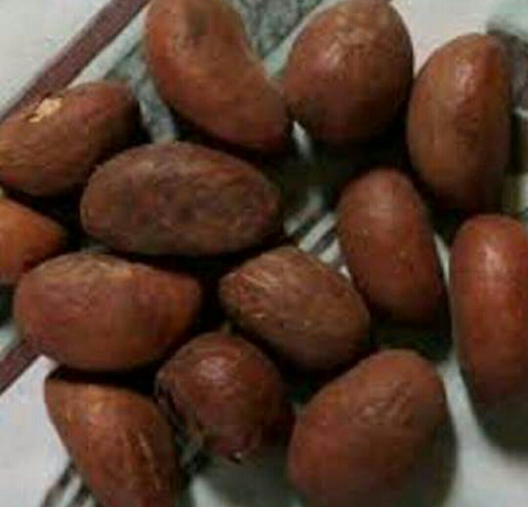 Disadvantages and Side Effects of bitter kola in the body.