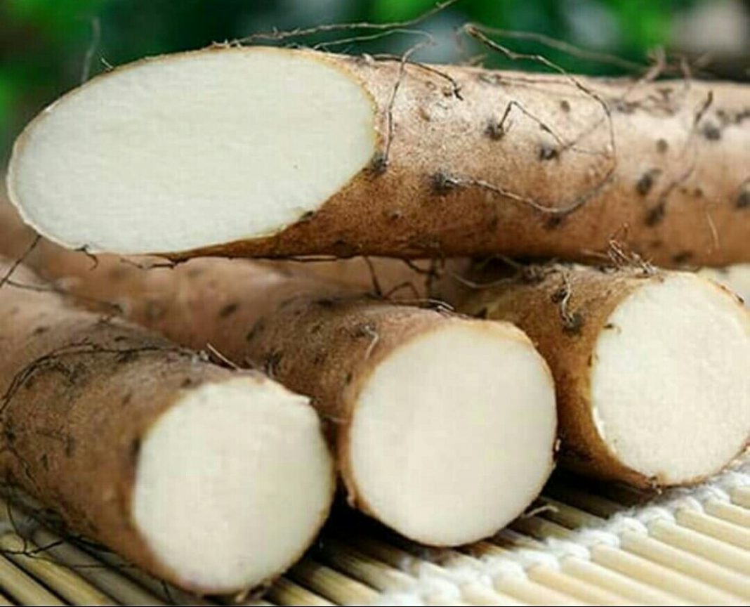 How to use wild yam to conceive twins, boost ovulation and fertility