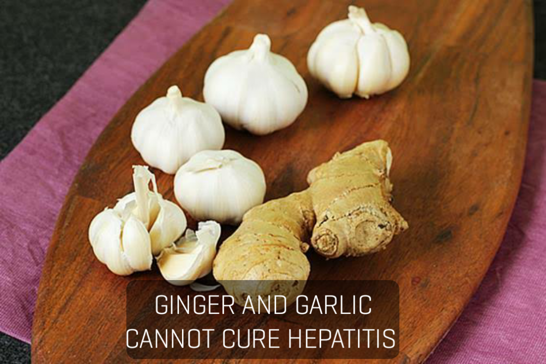 Can ginger and garlic cure hepatitis B? Can ginger and garlic cure hepatitis B?