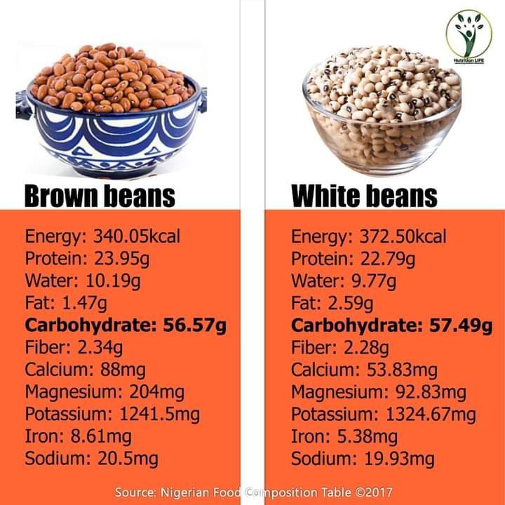  Is Beans Protein Or Carbohydrate Nigerian Health Blog