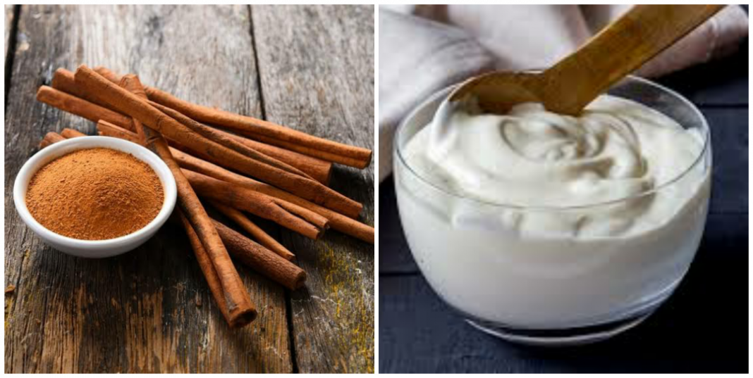 Plain yogurt and cinnamon benefits for females sexually Plain yogurt and cinnamon benefits for females sexually