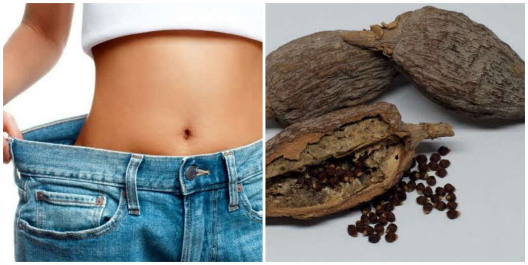 How to use alligator pepper for weight loss How to use alligator pepper for weight loss