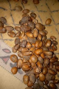 How TO use Ghana seed for infection