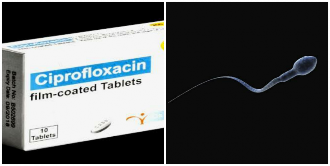 Can ciprofloxacin kill sperm in a woman? Can ciprofloxacin kill sperm in a woman?