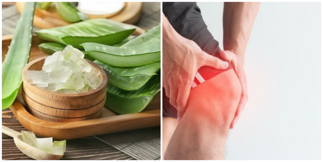 Aloe vera dosage for arthritis (can aloe vera juice help rheumatoid arthritis?)