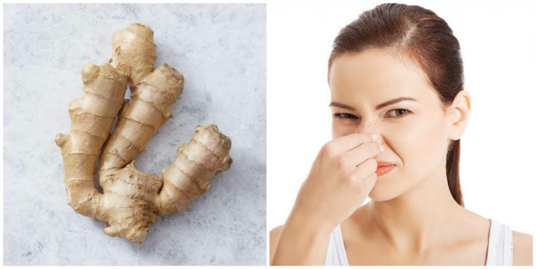 What does ginger do to the virginia? What does ginger do to the virginia?