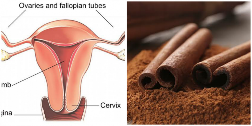 How cinnamon helps to cleanse the womb Does cinnamon clean the womb?