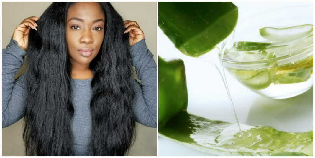 How to use aloe vera for hair growth