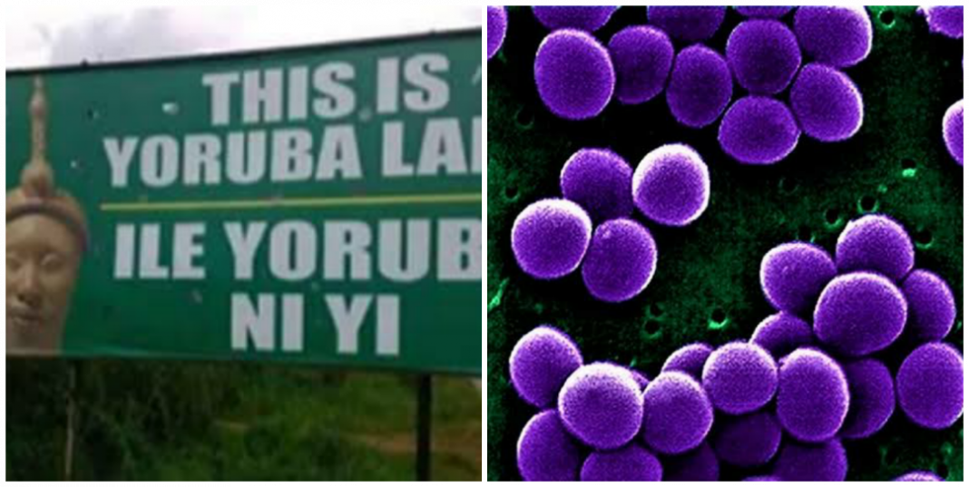 Meaning of staphylococcus aureus in Yoruba language