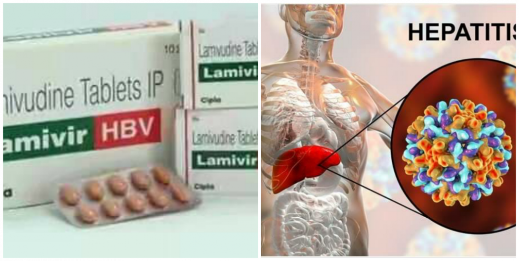 Can lamivudine cure hepatitis B virus infection?