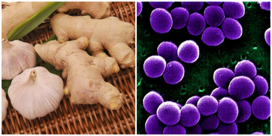 How to use garlic and ginger to cure Staphylococcus
