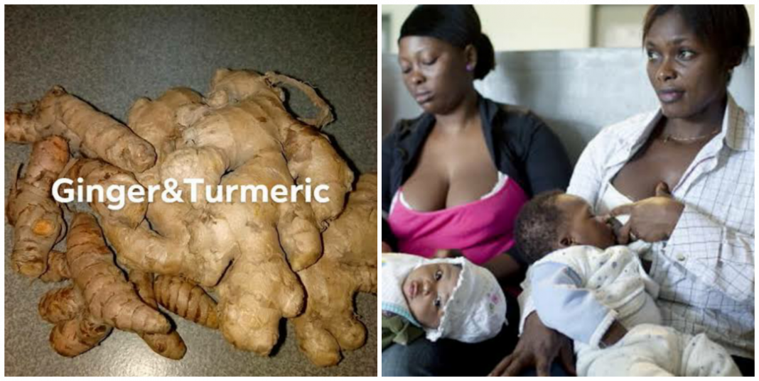 Can a nursing mother take ginger garlic and turmeric? Can a nursing mother take ginger garlic and turmeric?